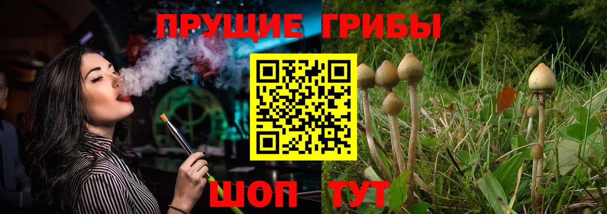 Майский  Псилоцибиновые грибы ЛСД  закладки  Псилоцибиновые грибы Magic Shrooms  Вход с VPN 