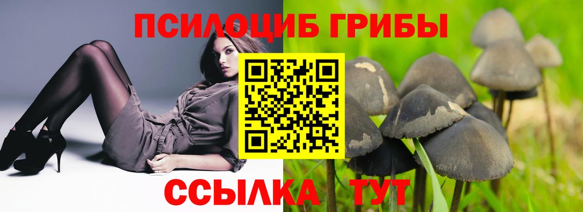 Купить наркоту  МЕФ кристаллы  ГАШ  Вход с VPN  Майский  Меф МЯУ МЯУ  Марихуана  Кокаин  А ПВП СОЛЬ кристаллы 